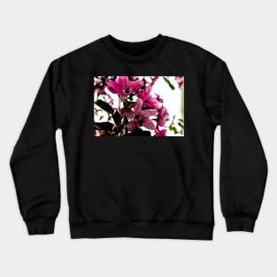 Crab apple tree in bloom Crewneck Sweatshirt